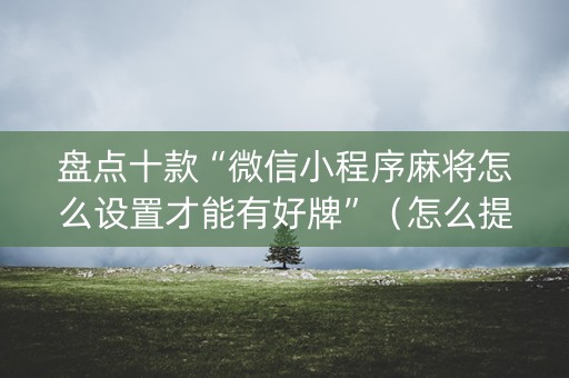 盘点十款“微信小程序麻将怎么设置才能有好牌”（怎么提高胜率)
