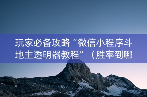 玩家必备攻略“微信小程序斗地主透明器教程”（胜率到哪调)