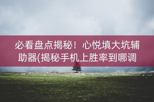 必看盘点揭秘！心悦填大坑辅助器(揭秘手机上胜率到哪调)