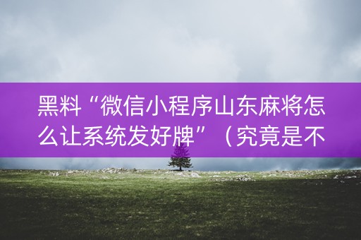黑料“微信小程序山东麻将怎么让系统发好牌”（究竟是不是有挂)