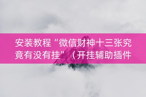 安装教程“微信财神十三张究竟有没有挂”（开挂辅助插件)