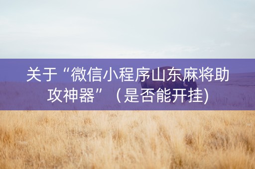 关于“微信小程序山东麻将助攻神器”（是否能开挂)