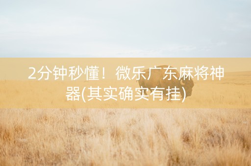 2分钟秒懂！微乐广东麻将神器(其实确实有挂)