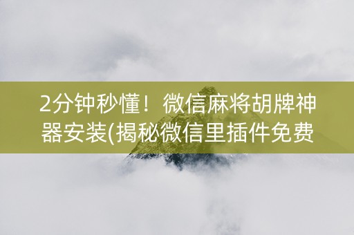2分钟秒懂！微信麻将胡牌神器安装(揭秘微信里插件免费)