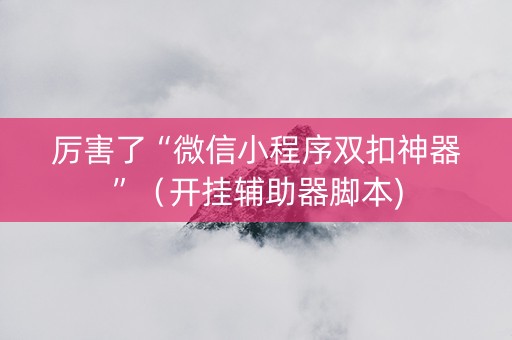 厉害了“微信小程序双扣神器”（开挂辅助器脚本)