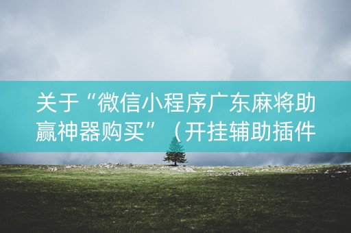 关于“微信小程序广东麻将助赢神器购买”（开挂辅助插件)