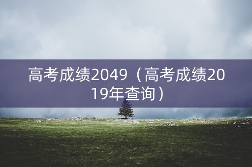 高考成绩2049（高考成绩2019年查询）