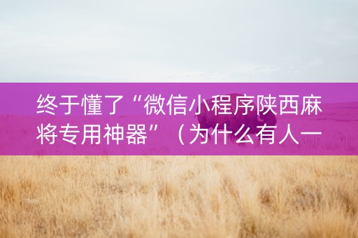 终于懂了“微信小程序陕西麻将专用神器”（为什么有人一直赢)