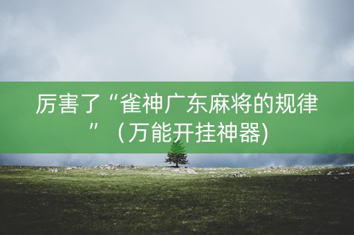 厉害了“雀神广东麻将的规律”（万能开挂神器)