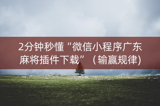 2分钟秒懂“微信小程序广东麻将插件下载”（输赢规律)