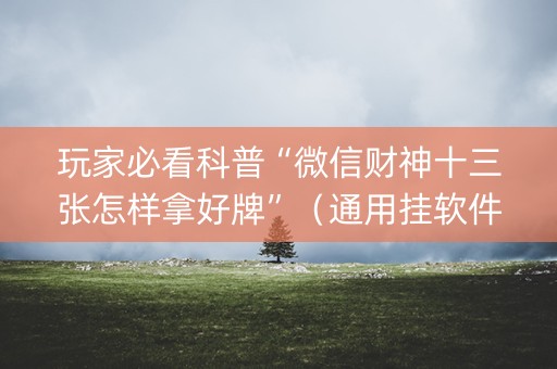 玩家必看科普“微信财神十三张怎样拿好牌”（通用挂软件多少钱)