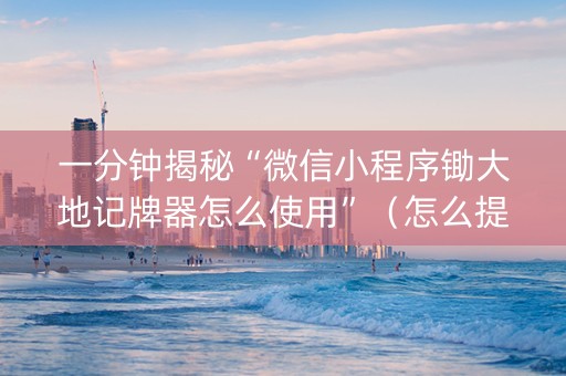 一分钟揭秘“微信小程序锄大地记牌器怎么使用”（怎么提高胜率)