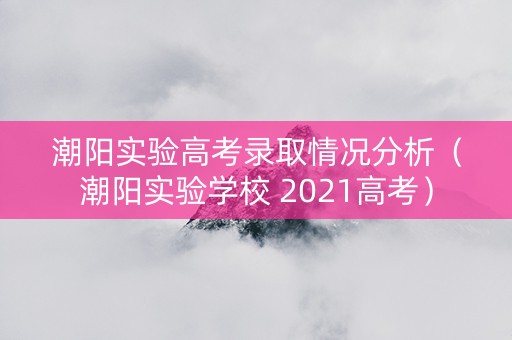潮阳实验高考录取情况分析（潮阳实验学校 2021高考）
