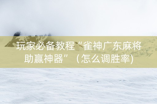 玩家必备教程“雀神广东麻将助赢神器”（怎么调胜率)