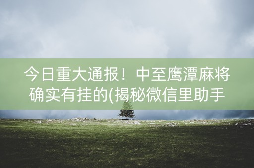 今日重大通报！中至鹰潭麻将确实有挂的(揭秘微信里助手软件)