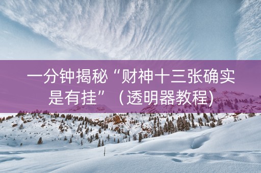 一分钟揭秘“财神十三张确实是有挂”（透明器教程)