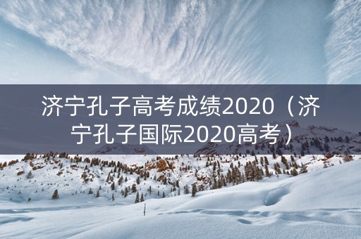 济宁孔子高考成绩2020（济宁孔子国际2020高考）
