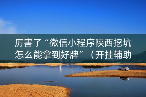 厉害了“微信小程序陕西挖坑怎么能拿到好牌”（开挂辅助器脚本)