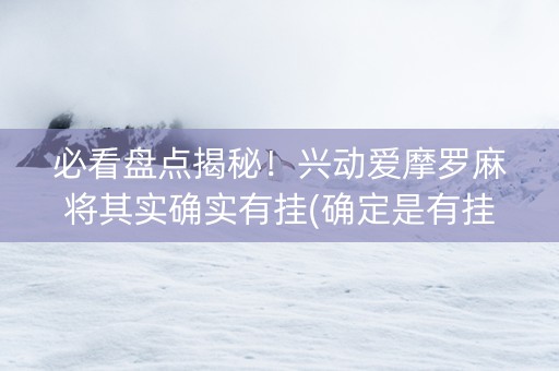 必看盘点揭秘！兴动爱摩罗麻将其实确实有挂(确定是有挂)