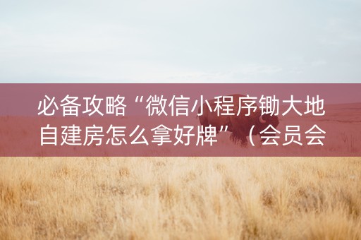 必备攻略“微信小程序锄大地自建房怎么拿好牌”（会员会提高胜率吗)