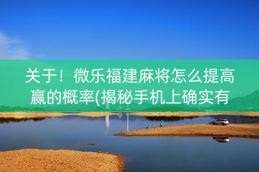 关于！微乐福建麻将怎么提高赢的概率(揭秘手机上确实有猫腻)