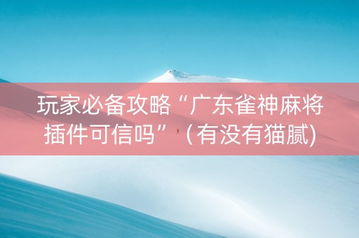玩家必备攻略“广东雀神麻将插件可信吗”（有没有猫腻)