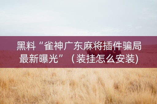 黑料“雀神广东麻将插件骗局最新曝光”（装挂怎么安装)