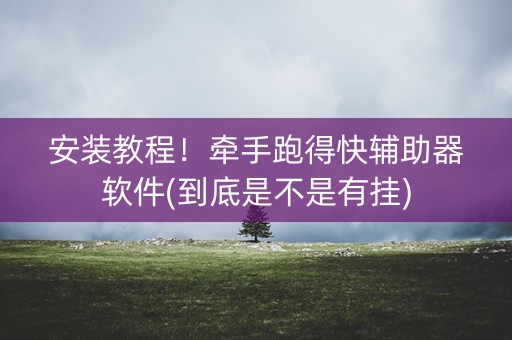 安装教程！牵手跑得快辅助器软件(到底是不是有挂)