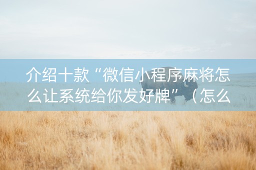 介绍十款“微信小程序麻将怎么让系统给你发好牌”（怎么让系统给你发好牌)