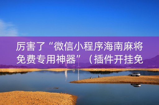 厉害了“微信小程序海南麻将免费专用神器”（插件开挂免费AI)