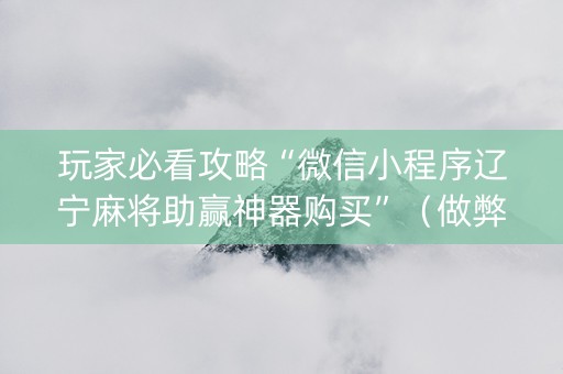 玩家必看攻略“微信小程序辽宁麻将助赢神器购买”（做弊器软件下载)