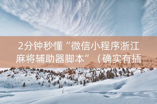 2分钟秒懂“微信小程序浙江麻将辅助器脚本”（确实有插件吗)