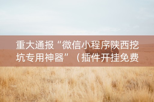重大通报“微信小程序陕西挖坑专用神器”（插件开挂免费AI)
