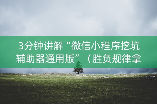 3分钟讲解“微信小程序挖坑辅助器通用版”（胜负规律拿好牌)