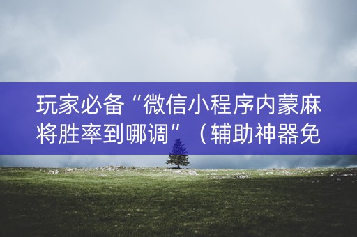 玩家必备“微信小程序内蒙麻将胜率到哪调”（辅助神器免费)