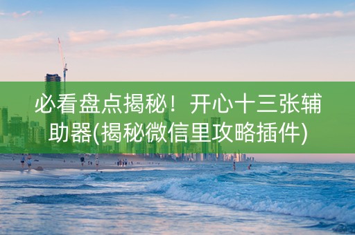 必看盘点揭秘！开心十三张辅助器(揭秘微信里攻略插件)