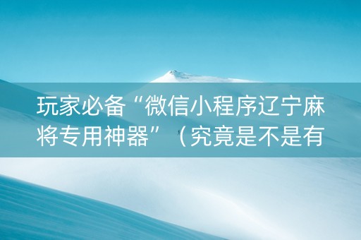 玩家必备“微信小程序辽宁麻将专用神器”（究竟是不是有挂)