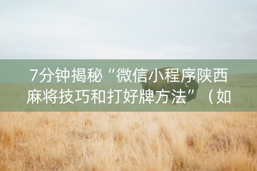7分钟揭秘“微信小程序陕西麻将技巧和打好牌方法”（如何提高胜率)