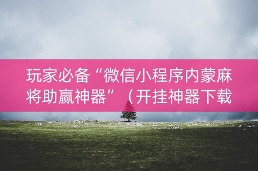 玩家必备“微信小程序内蒙麻将助赢神器”（开挂神器下载)