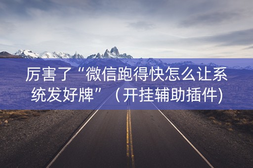 厉害了“微信跑得快怎么让系统发好牌”（开挂辅助插件)
