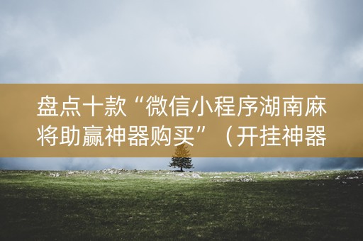 盘点十款“微信小程序湖南麻将助赢神器购买”（开挂神器下载)