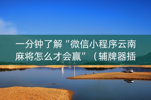 一分钟了解“微信小程序云南麻将怎么才会赢”（辅牌器插件购买)