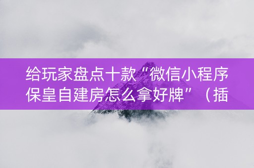 给玩家盘点十款“微信小程序保皇自建房怎么拿好牌”（插件开挂免费AI)