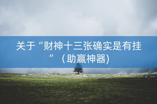 关于“财神十三张确实是有挂”（助赢神器)
