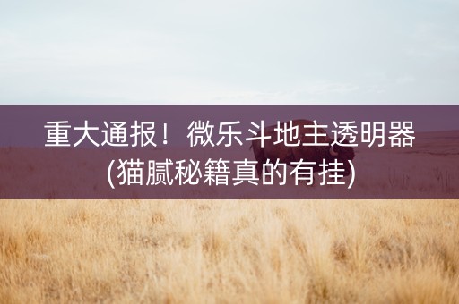 重大通报！微乐斗地主透明器(猫腻秘籍真的有挂)