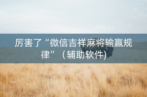 厉害了“微信吉祥麻将输赢规律”（辅助软件)