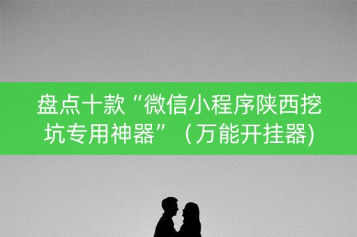 盘点十款“微信小程序陕西挖坑专用神器”（万能开挂器)