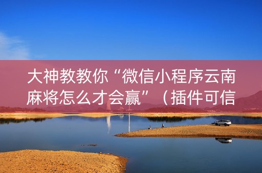 大神教教你“微信小程序云南麻将怎么才会赢”（插件可信吗)