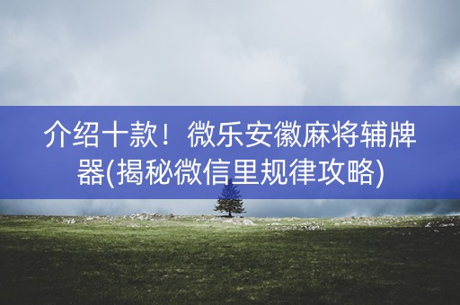 介绍十款！微乐安徽麻将辅牌器(揭秘微信里规律攻略)