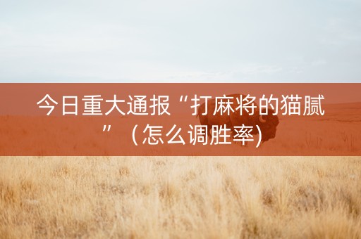 今日重大通报“打麻将的猫腻”（怎么调胜率)